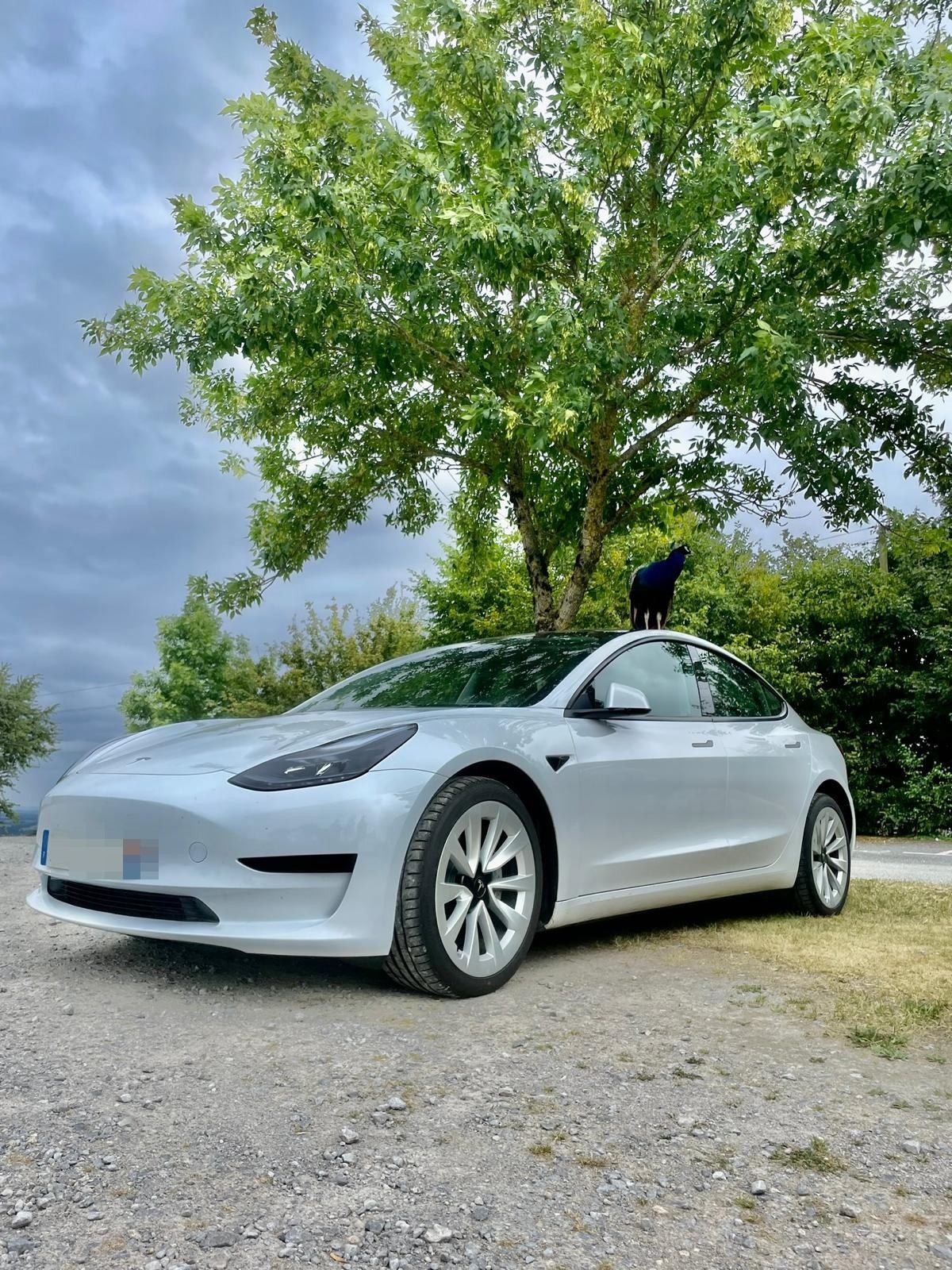 Berline électrique blanche du service VTC Yvelines